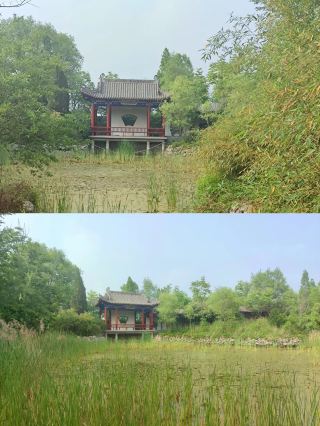 Puyang Hidden Gem: Maolou Ecotourism Area!!!
