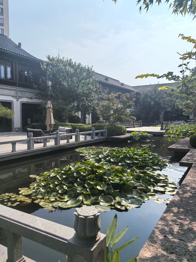 齊河新開業的寶藏酒店——安德湖涵田酒店。