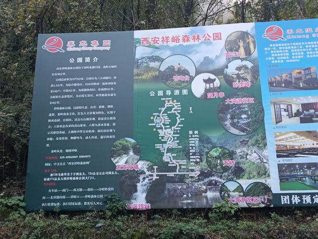 祥峪森林公園。