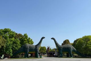Shiyan Qinglong Mountain Dinosaur Egg Fossil Group | Start a dinosaur exploration journey. 