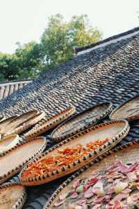 婺源分源——大余灣晒秋。