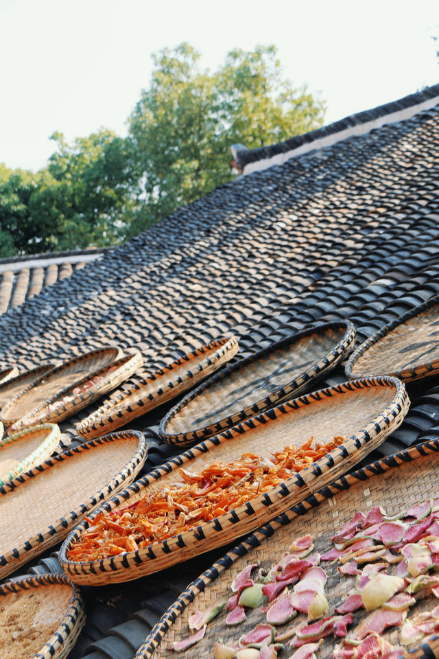 婺源分源——大余灣晒秋。 婺源分源——大余灣晒秋。