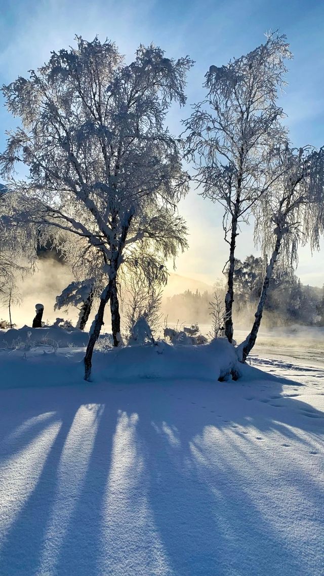 冬日旅行 ｜ 粉雪 新疆。