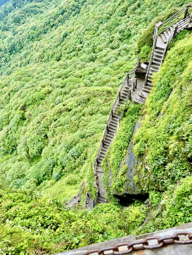 雲間淨土：梵淨山的靈性漫遊