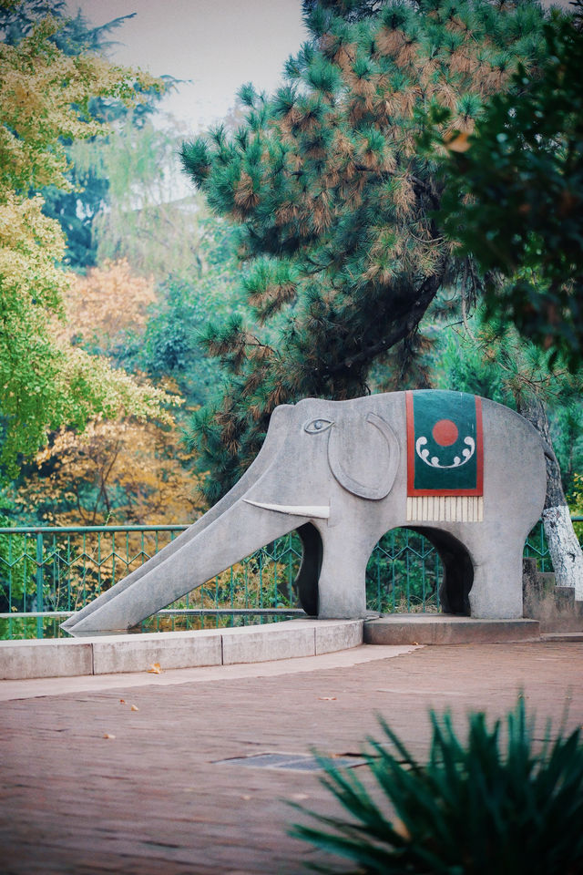 西安這個寶藏公園怎麼才被發現。 西安這個寶藏公園怎麼才被發現。