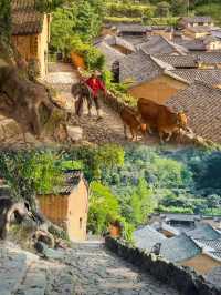 麗水｜「江南最後的秘境」__《國家地理》。
