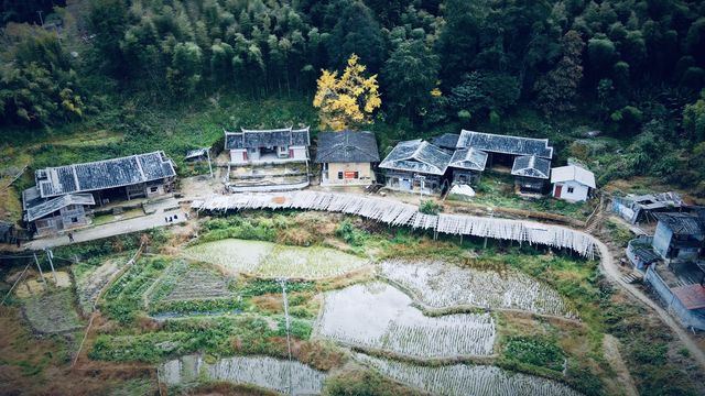 泉州德化丁榮村自駕遊攻略。