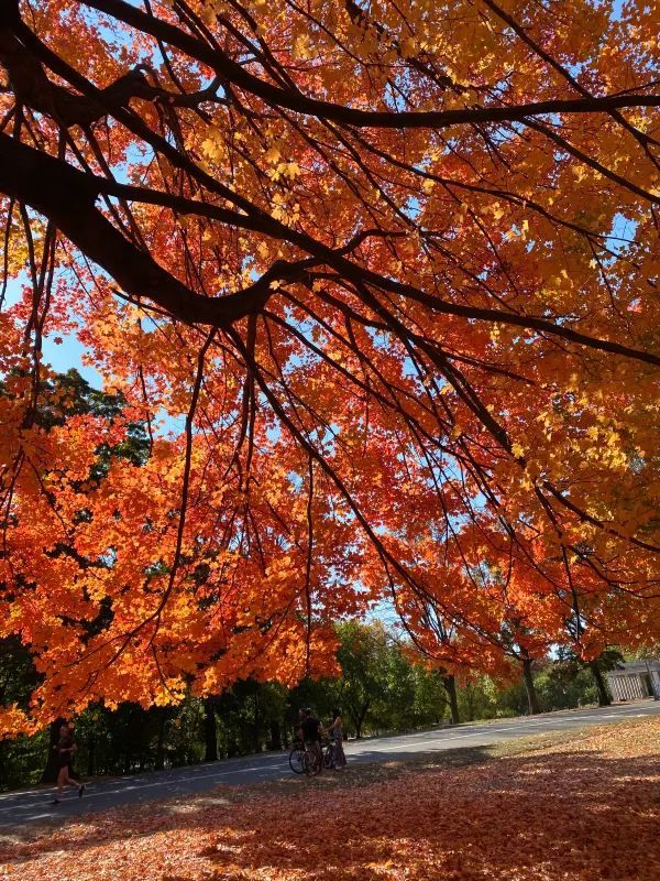 Autumn is the most beautiful season!! 
