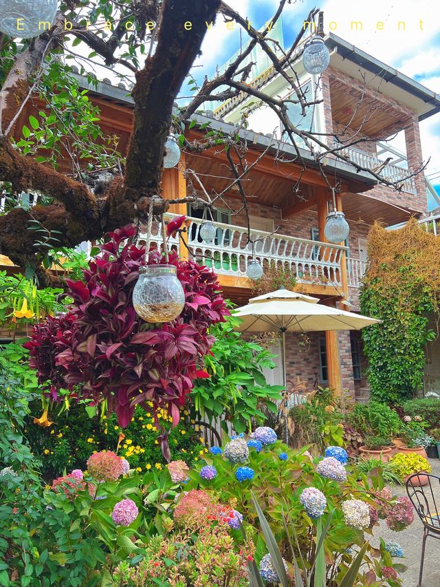 在麗江誤入了莫奈的花園…。