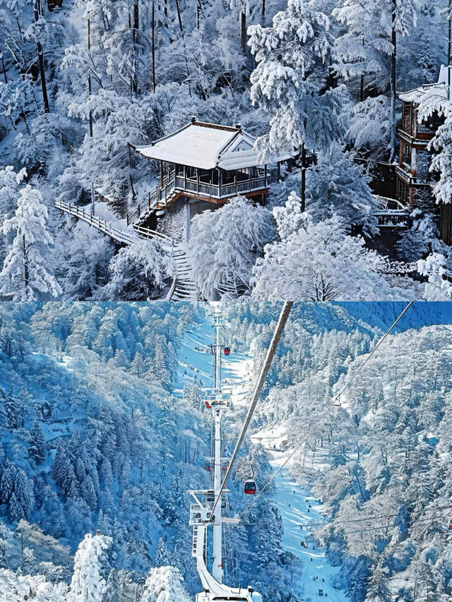 瓦屋山現狀真的美得不真實！人均88。