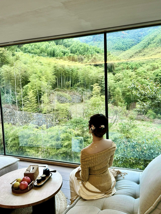莫干山賓臨城山頂竹林私湯溫泉民宿。