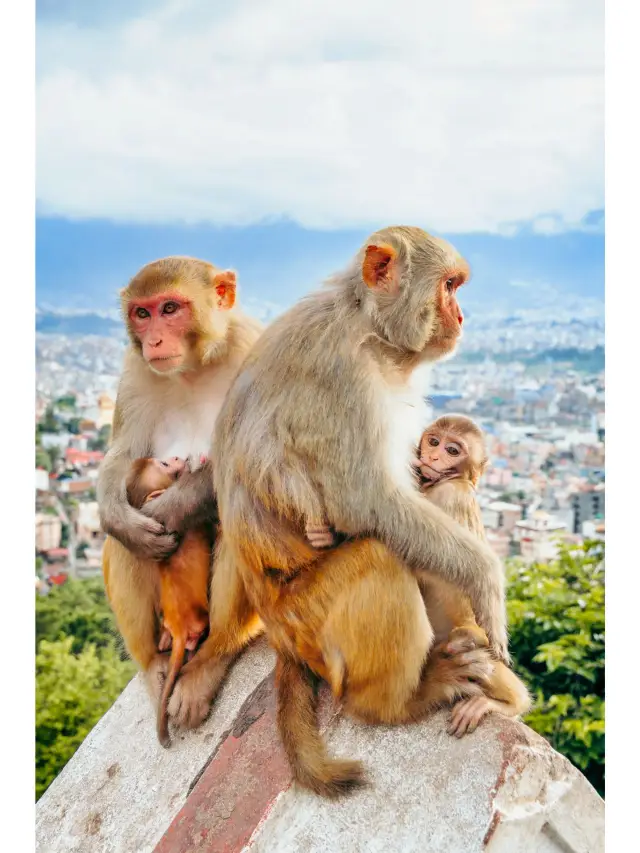 8-Day Nepal Itinerary: A Must-Read Guide!