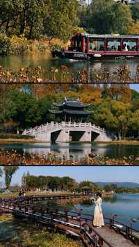 總要下趟江南吧 | 常熟秋日漫行 。