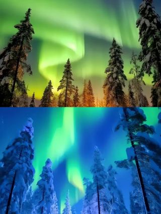 Explore the North Pole of China, Mohe