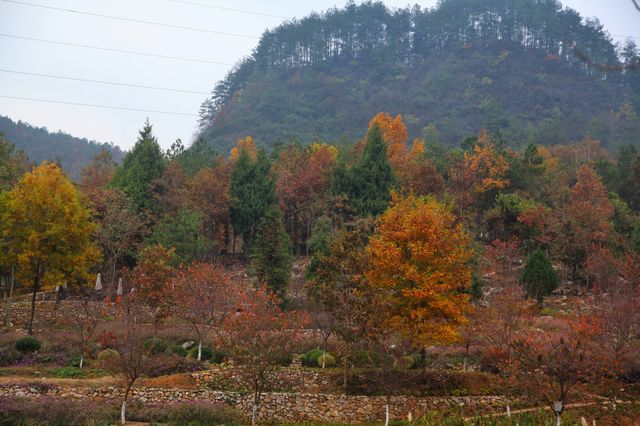 貴州黔東南這個寶藏「花園」，收藏好