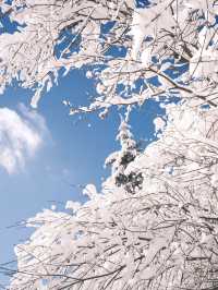哈爾濱-雪鄉新體驗 邊賞雪邊泡溫泉別錯過