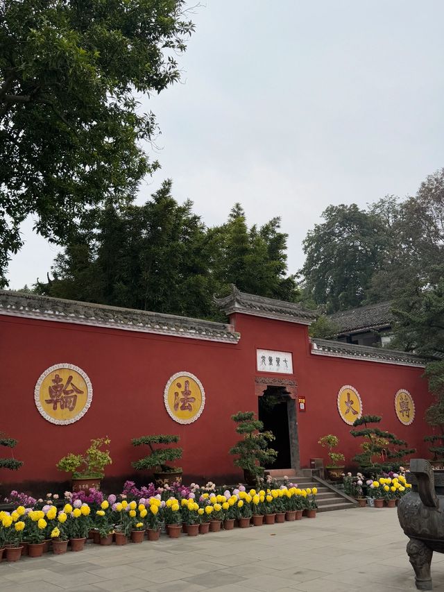 跨年要去樂山2日遊 嗨玩不重樣