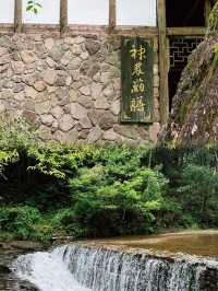 衢州·藥王山｜探秘神農秘境，暢享自然瑰寶
