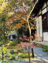 日本·京都清涼寺