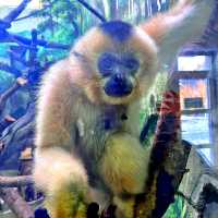 打卡／長春動植物公園