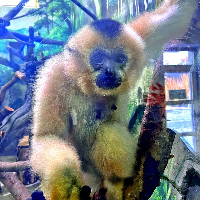 打卡／長春動植物公園