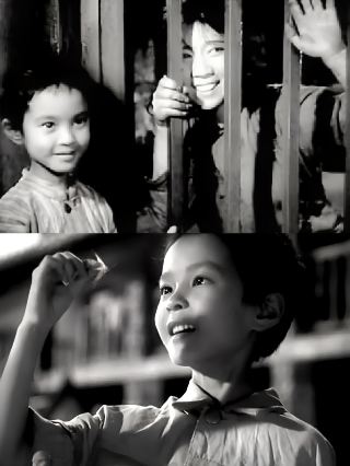 "Remembering Little Radish Head Song Zhenzhong" 
