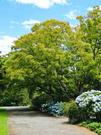基督城植物園｜四季不同景｜夏日盡繁花