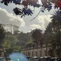 Rome: Where History Comes Alive