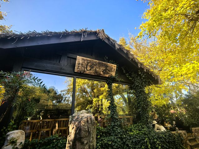 太湖東島周末逛吃之旅
