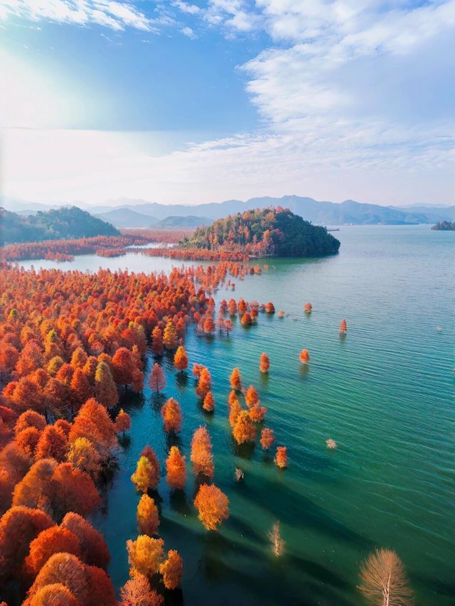 在這一刻，秋天的美達到了頂峰｜浙江喀納斯