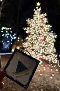 Experience a Magical Christmas at Karuizawa Highland Church in 2024