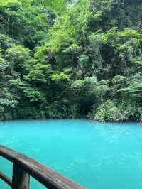 冬日要去張家界-天門山-湘西3日遊全攻略