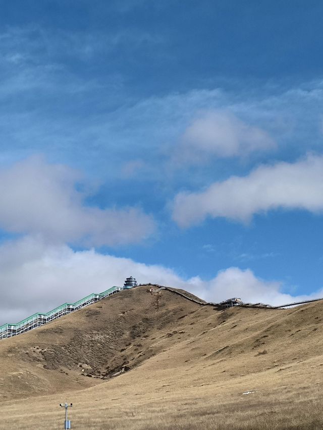 天水6日遊 玩轉全城的秘密攻略