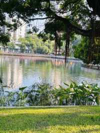 被這個公園治癒…周末遛娃 散步必逛四海公園