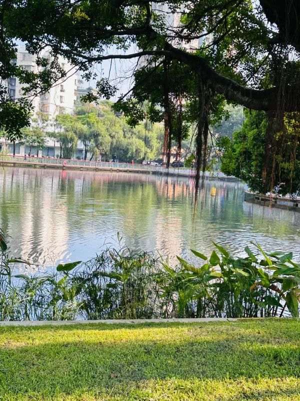 被這個公園治癒…周末遛娃 散步必逛四海公園