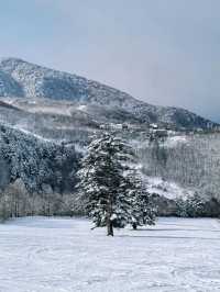 Explore the Dynamic Skiing Experience at Shiga Kogen Ski Resort in Nagano