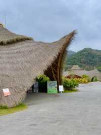 探秘五指山腳下的黎族村寨——毛納村