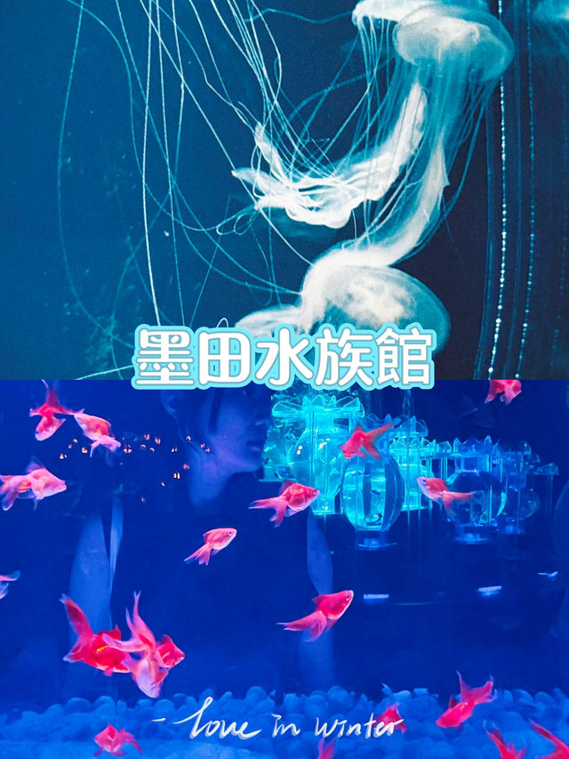東京墨田水族館景點攻略🐬晴空塔上的湛藍風景
