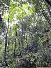 7日玩轉江西南昌-廬山-景德鎮超詳細攻略 必收藏