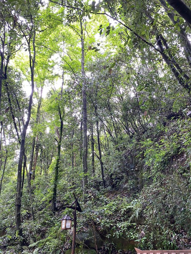7日玩轉江西南昌-廬山-景德鎮超詳細攻略 必收藏