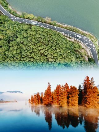 寧波「蛇形路」