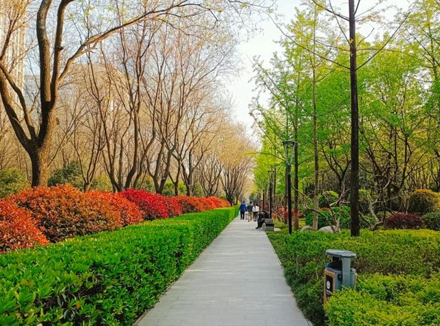 When Sping Knocks The Door: Ultimate Itinerary for Flower Bloom in Xi'An When Sping Knocks The Door: Ultimate Itinerary for Flower Bloom in Xi'An