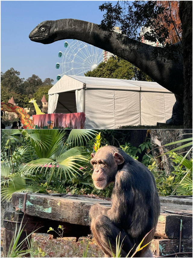 廣州動物園 20元門票超值
