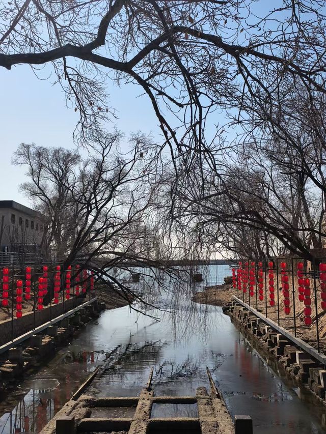海邊日記︱西港花園今日實況