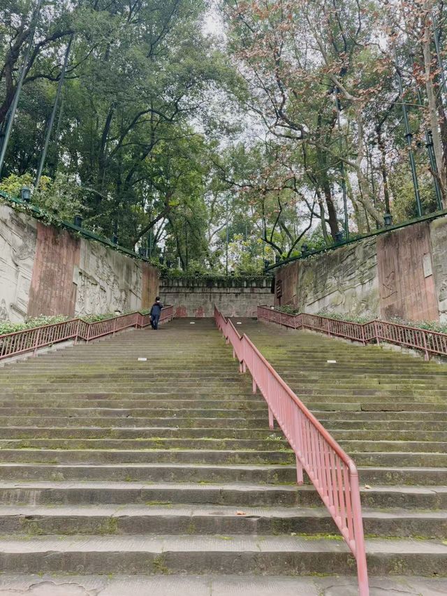 南充市區｜小眾旅遊果然好正！
