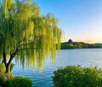 江南水鄉，詩畫浙江。