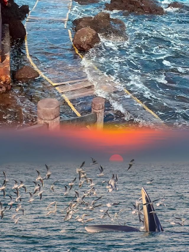 北海：邂逅南國的浪漫與溫柔