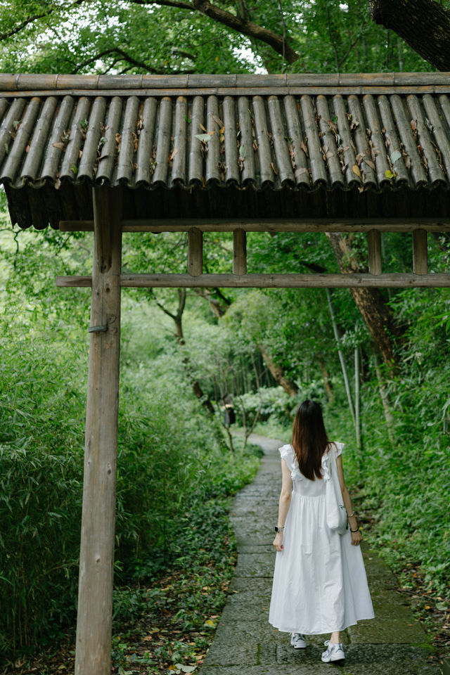 蘭亭丨江南古典園林，以蘭為魂，一步一景