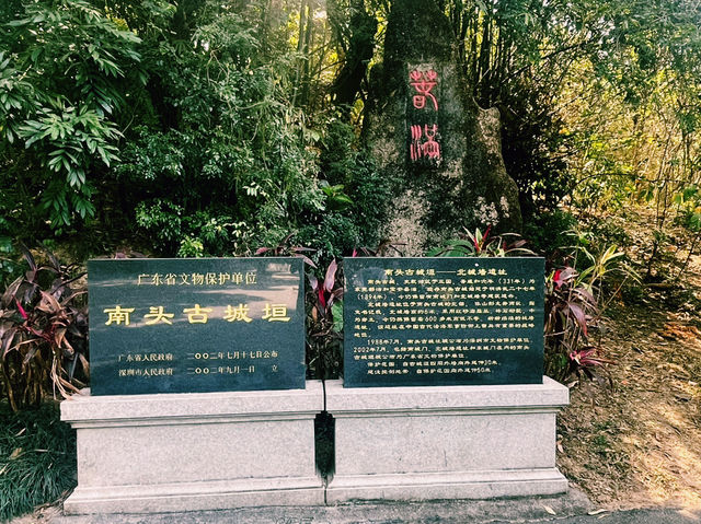 深圳南山區著名景點：中山公園，適合拍照打卡觀光旅遊。 