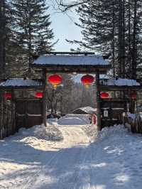 鏡頭下的大雪谷，雪蘑菇與霧凇的幻境交響